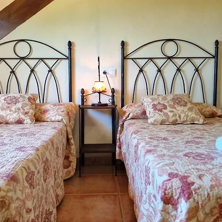 Erythrina * Alhaurín el Grande